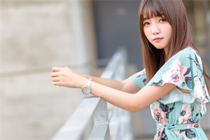 上海登革热疫情的传播模式研究 上海登革热疫情的传播模式研究